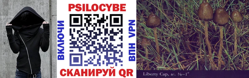 Псилоцибиновые грибы Psilocybine cubensis  Купить  Шахты 